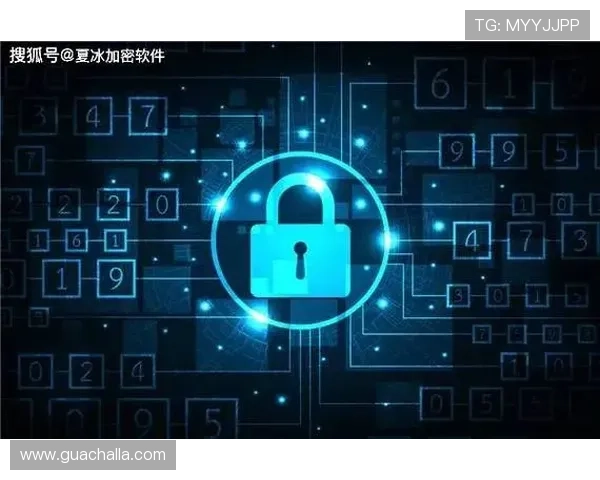 爱游戏体育app平台安全性分析及用户隐私保护措施详解